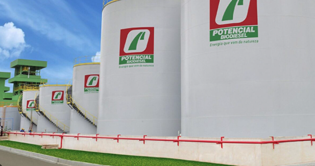 Brazilian Biodiesel